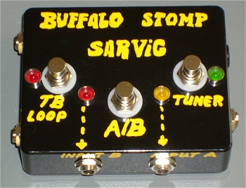 True Bypass - A/B - Tuner Mute Looper